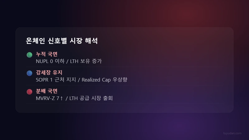 온체인 신호별 시장 해석