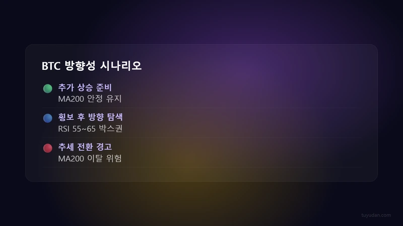 BTC 방향성 시나리오