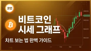 비트코인 시세 그래프 보는 법: 초보자도 쉬운 차트 완벽 가이드 비트코인 시세 그래프 보는 법 가이드